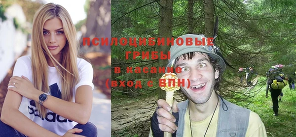 дживик Арсеньев