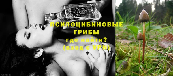 mdpv Няндома