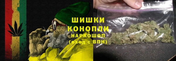 дживик Арсеньев
